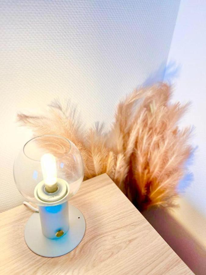 Апартаменты L'Atelier Chic - Wifi Fibre - Parking Privee - Balcon - Netflix Ланестер Экстерьер фото